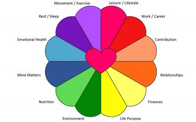 Wheel of Life Exercise