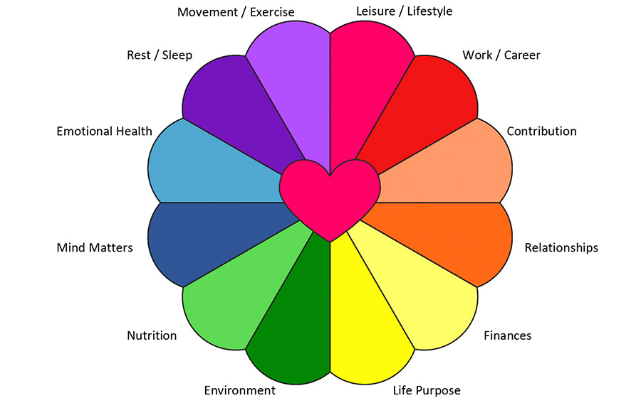 wheel of life coaching exercise