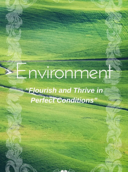 Environment