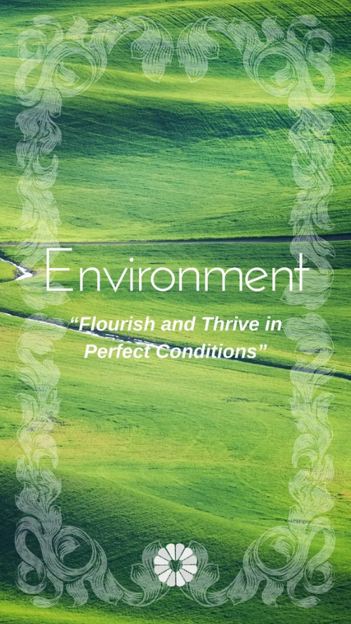 Environment