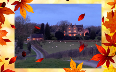 Amber Autumnal Alchemy